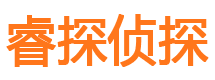 随县调查公司